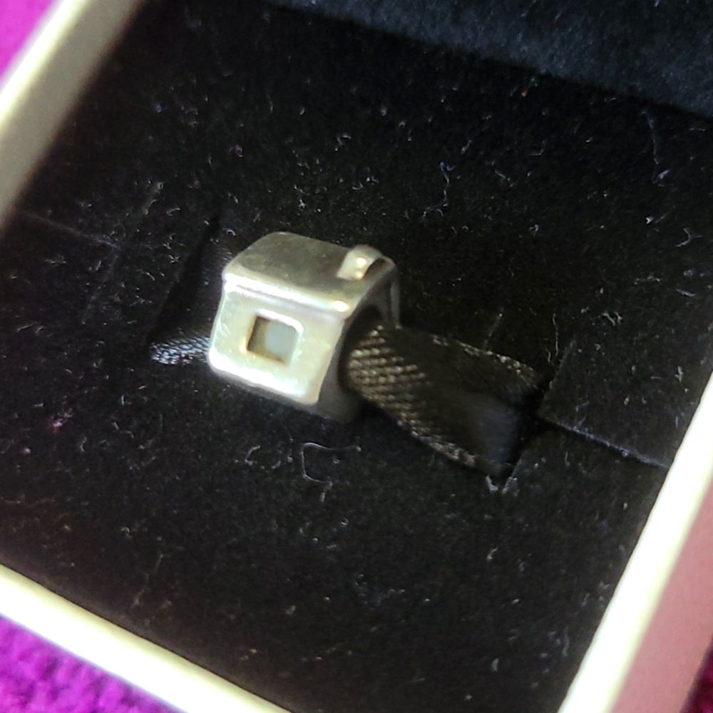 Pandora charm